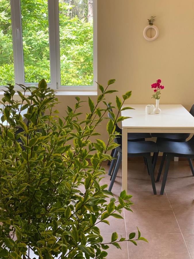 Buxus Hotel Shekvetili Екстериор снимка