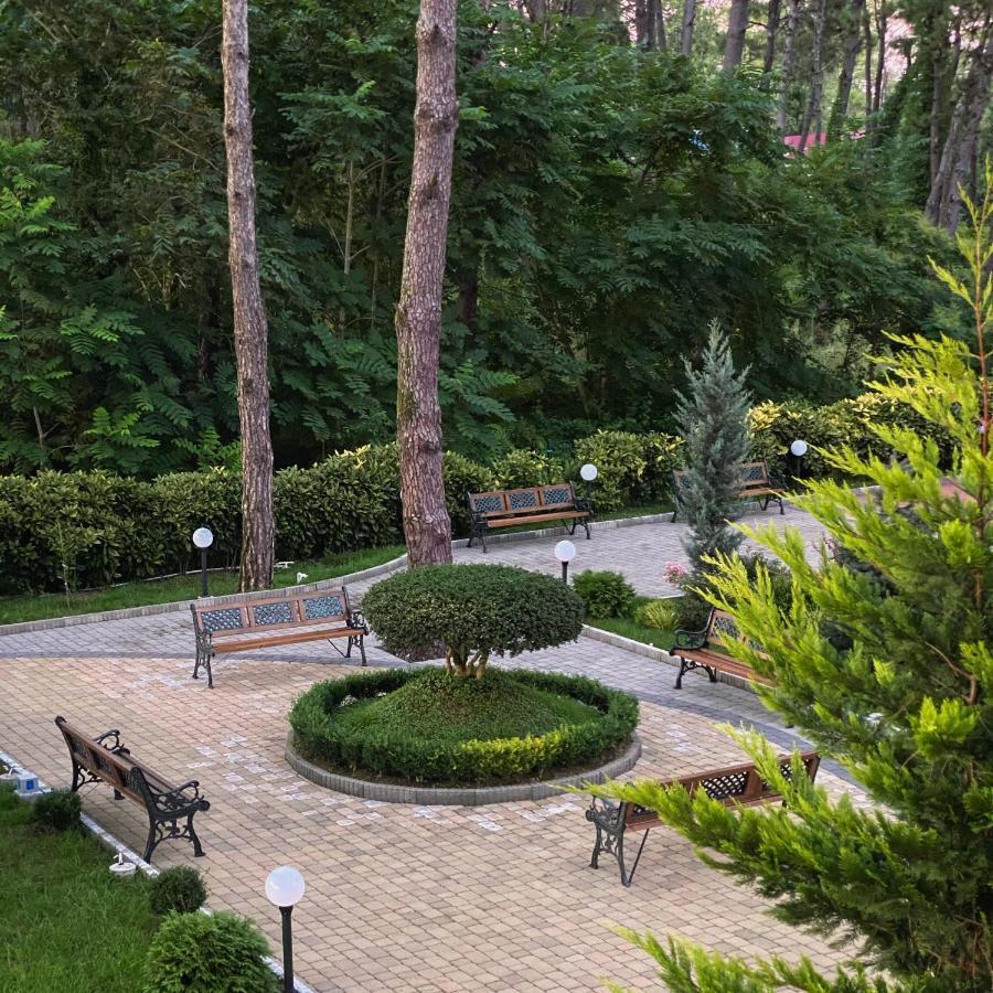 Buxus Hotel Shekvetili Екстериор снимка