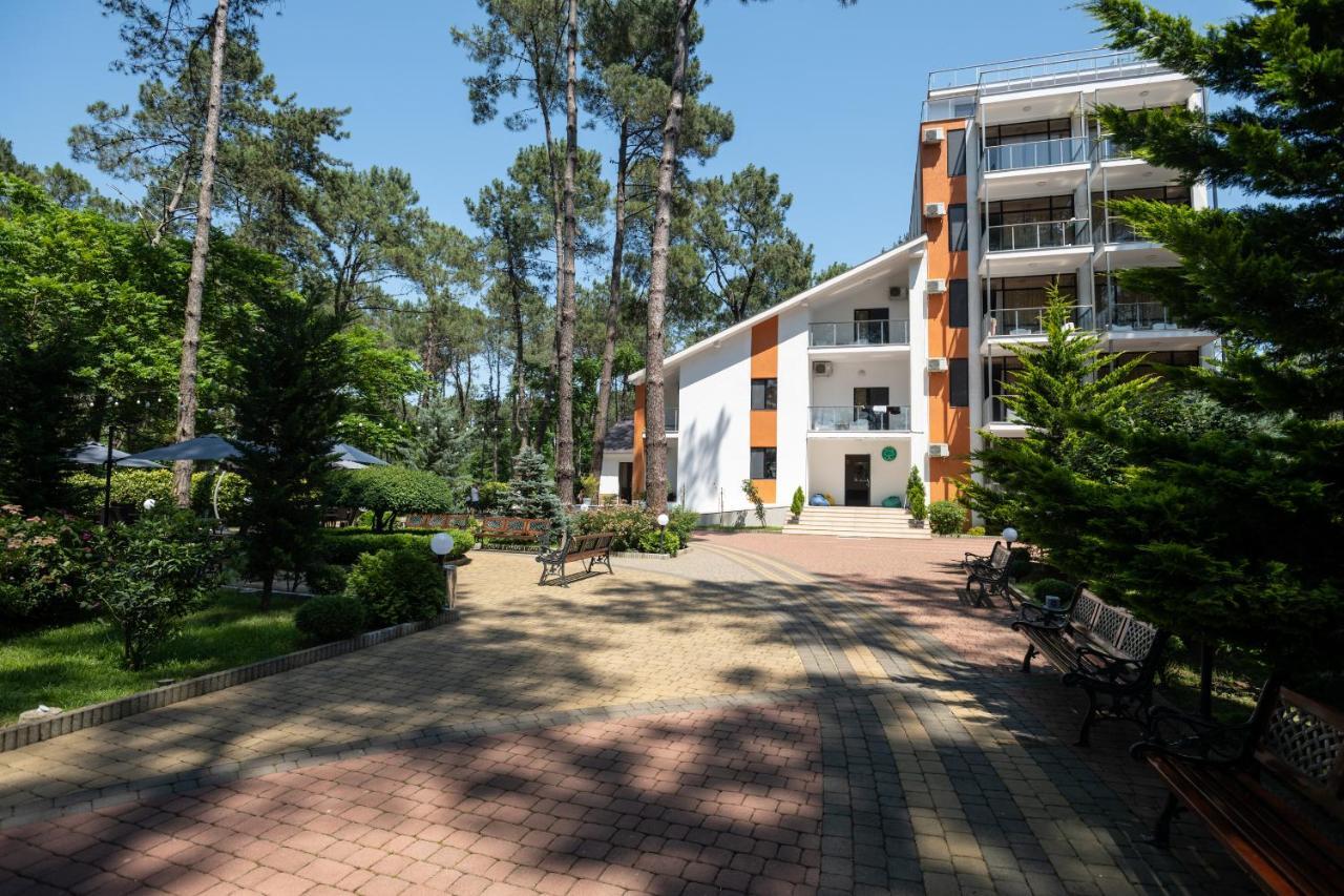 Buxus Hotel Shekvetili Екстериор снимка