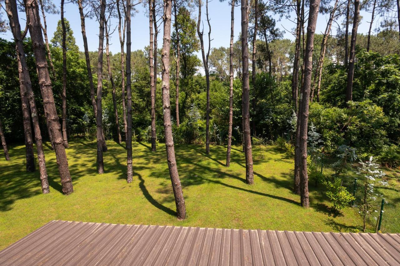 Buxus Hotel Shekvetili Екстериор снимка