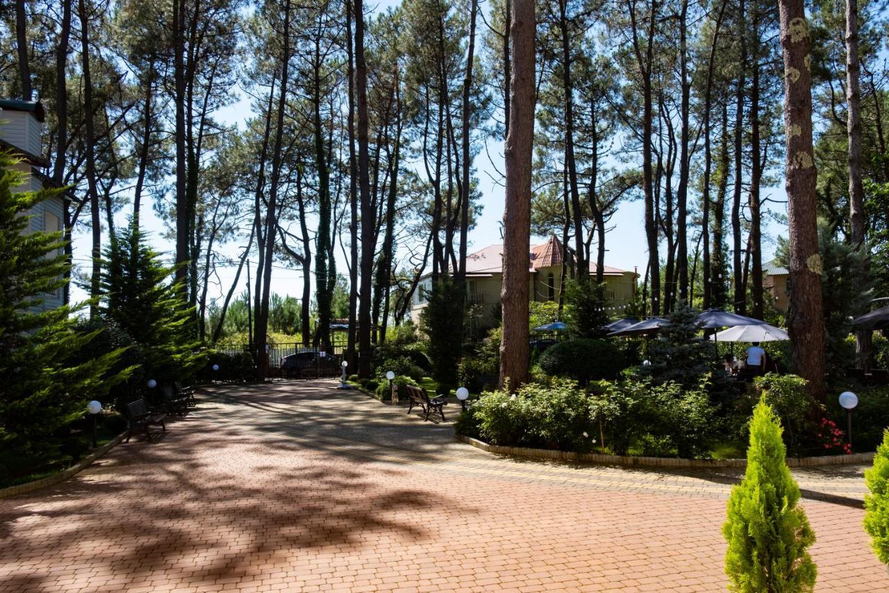 Buxus Hotel Shekvetili Екстериор снимка