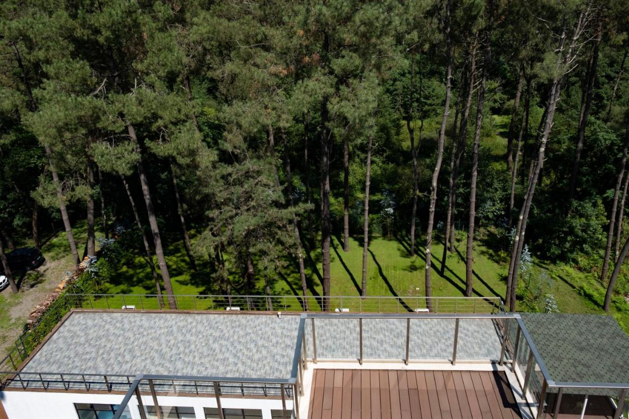 Buxus Hotel Shekvetili Екстериор снимка
