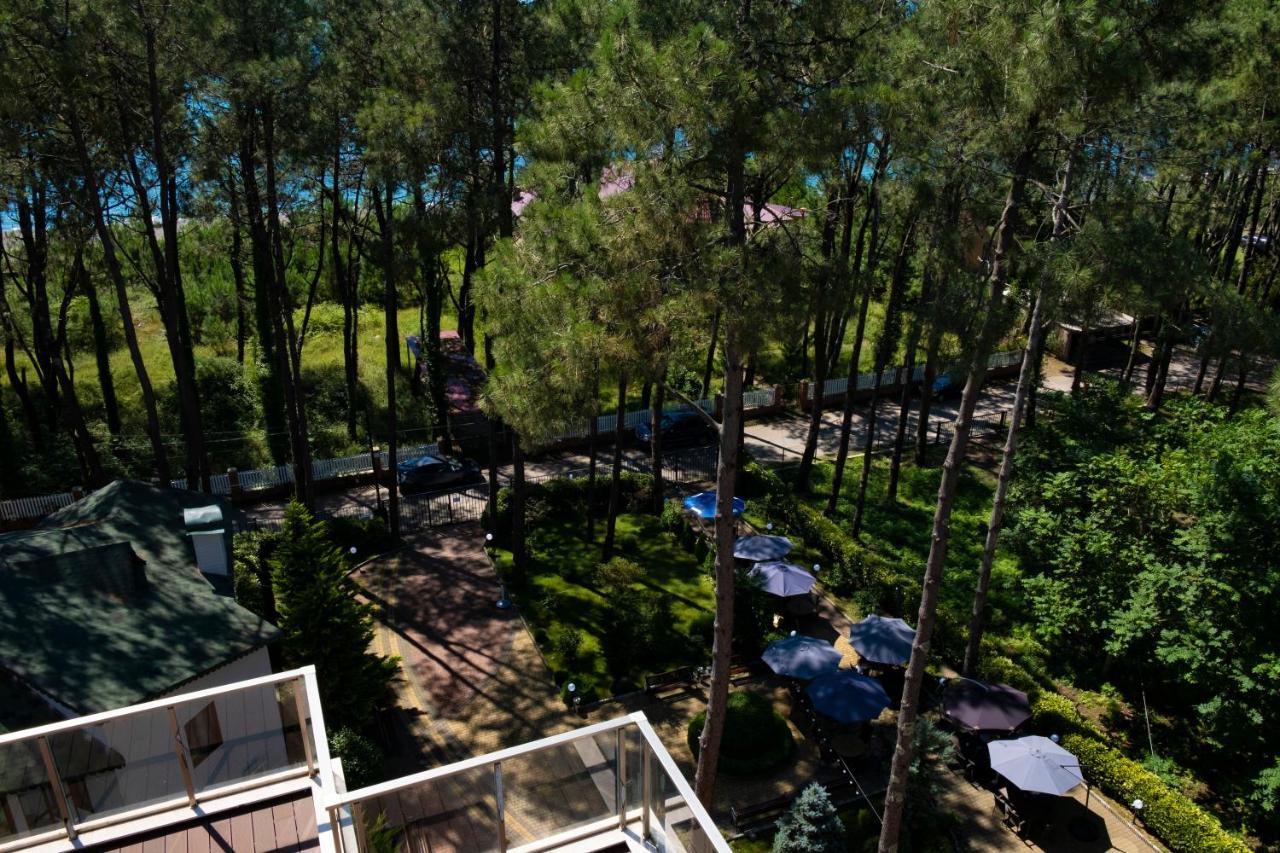 Buxus Hotel Shekvetili Екстериор снимка