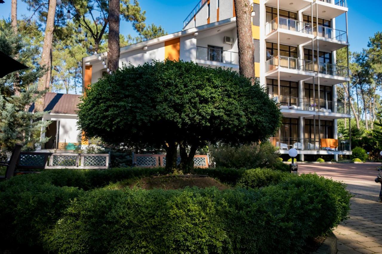 Buxus Hotel Shekvetili Екстериор снимка