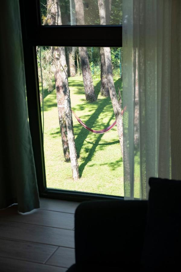 Buxus Hotel Shekvetili Екстериор снимка