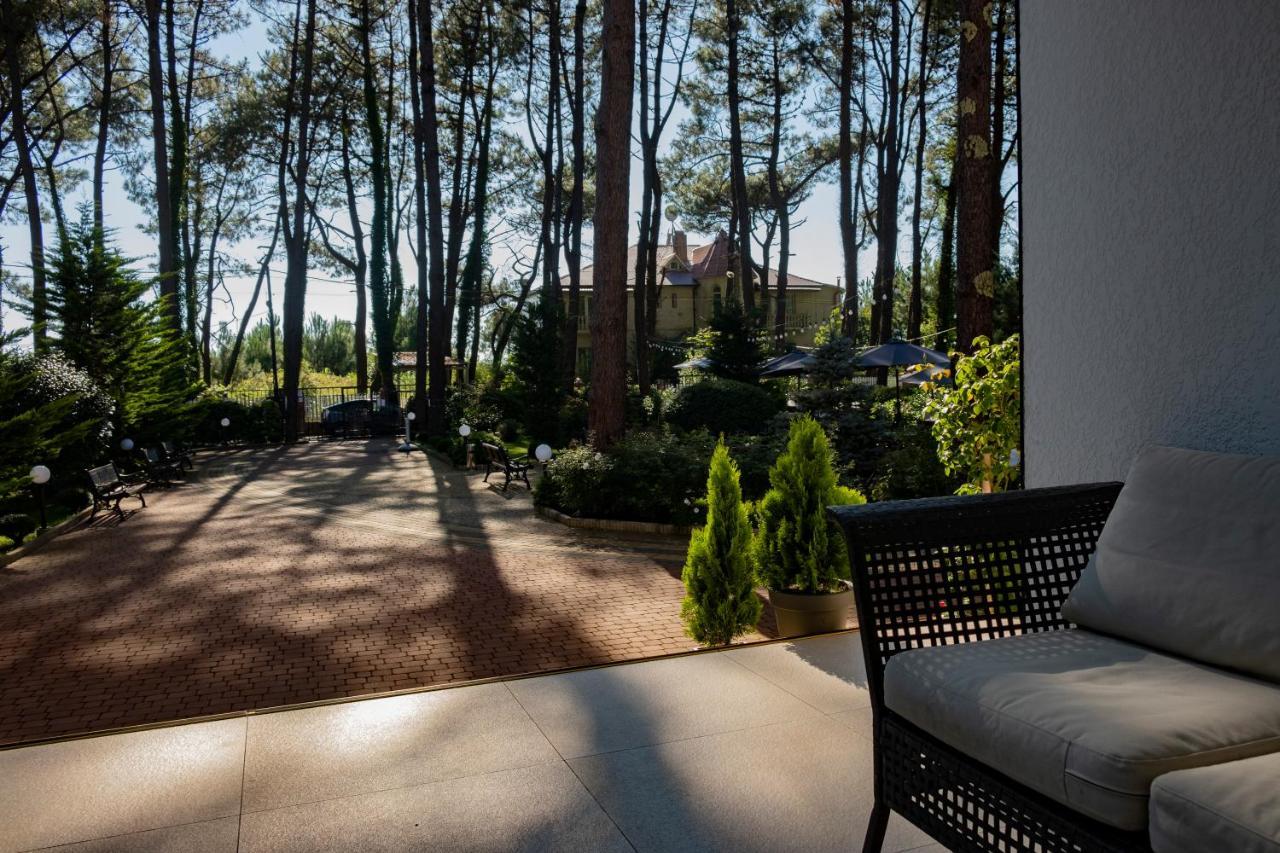Buxus Hotel Shekvetili Екстериор снимка